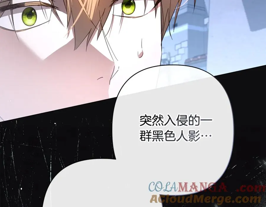 第57话 王妃被劫走 第177页