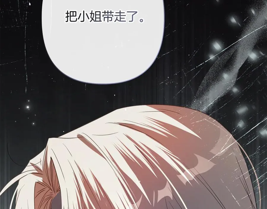 第57话 王妃被劫走 第178页