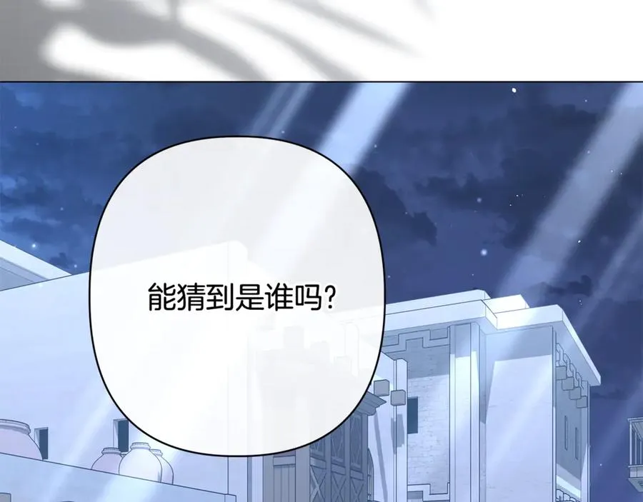 第57话 王妃被劫走 第195页