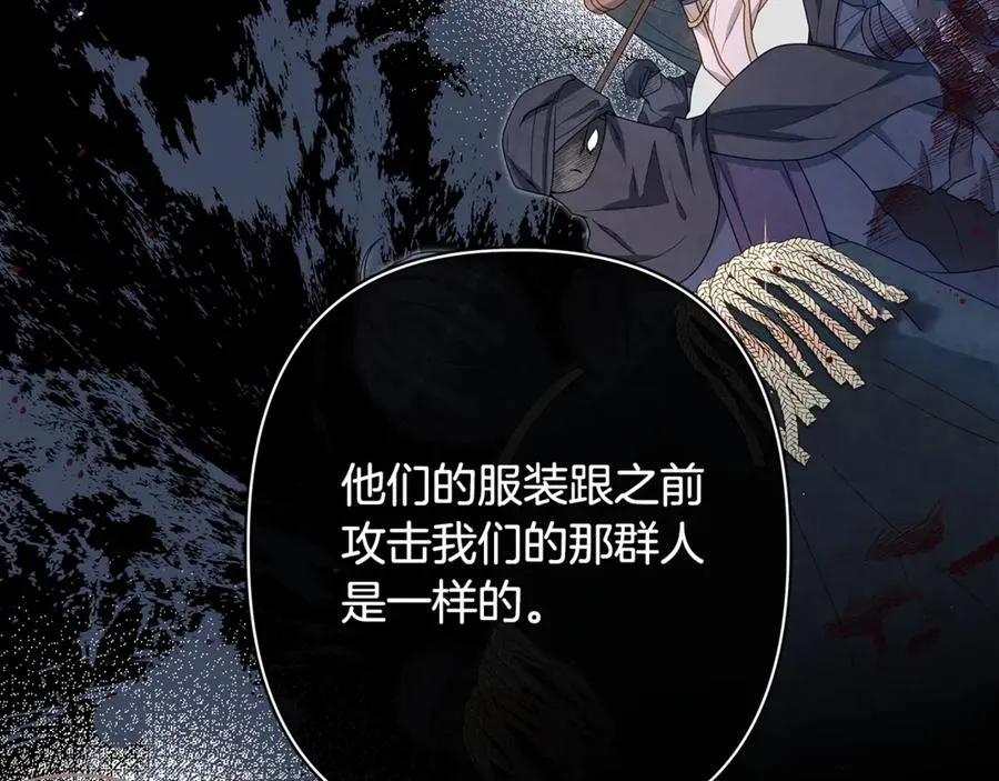 第57话 王妃被劫走 第202页