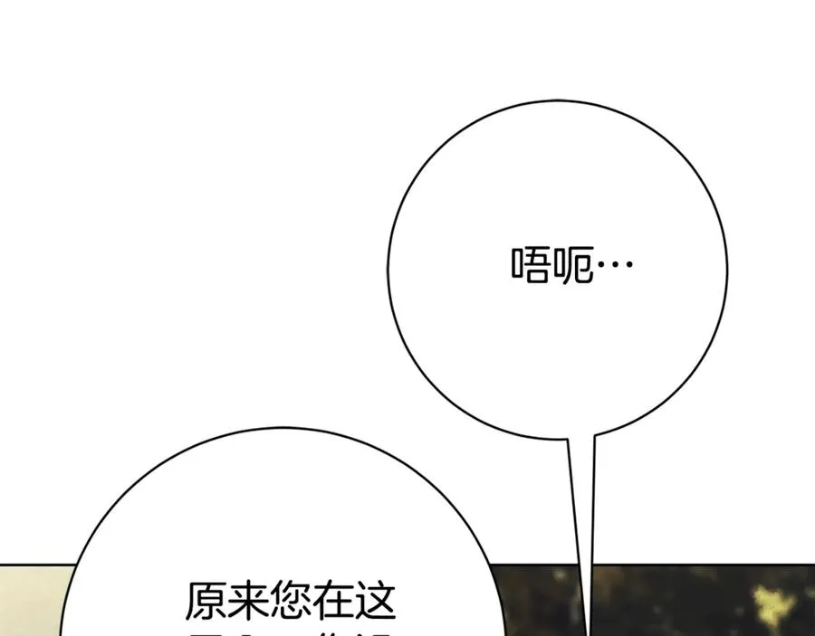 第11话 被强吻了？！ 第202页