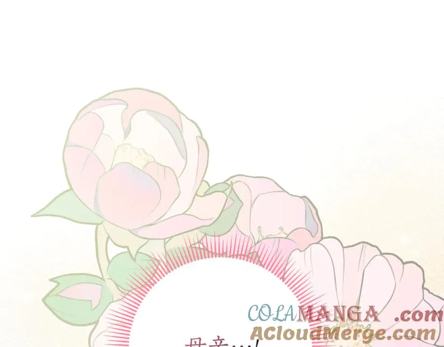 第24话 送婚书？ 第205页