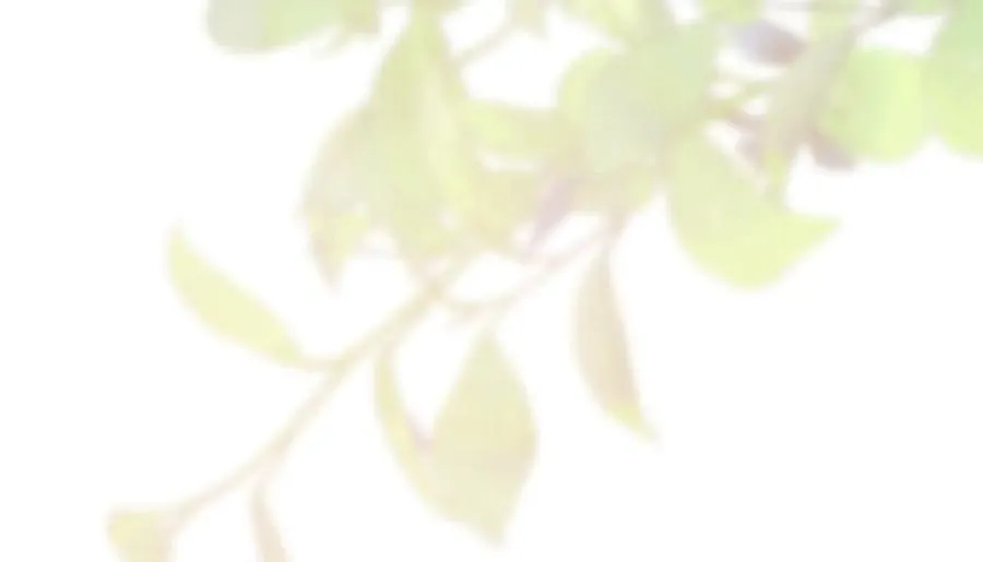 第26话 他也生病了？ 第24页