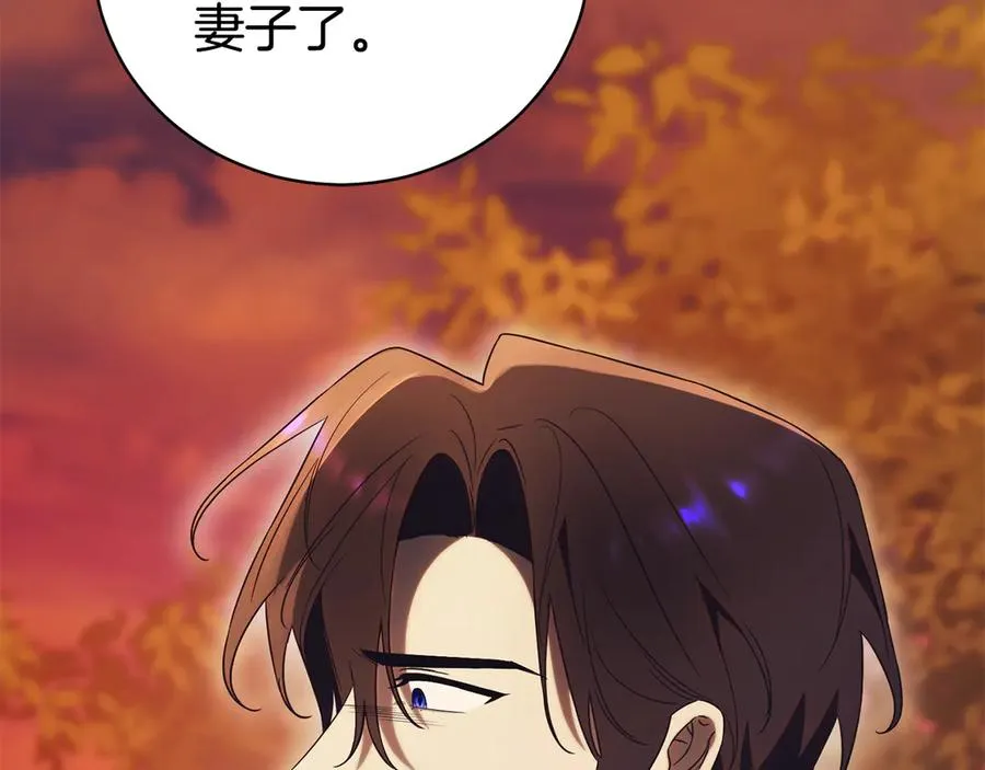 第30话 夫妻相认？ 第234页