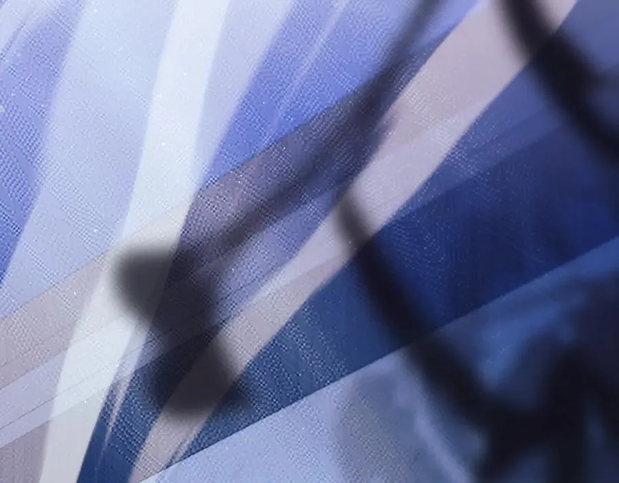 第37话 不愿重蹈覆辙 第44页