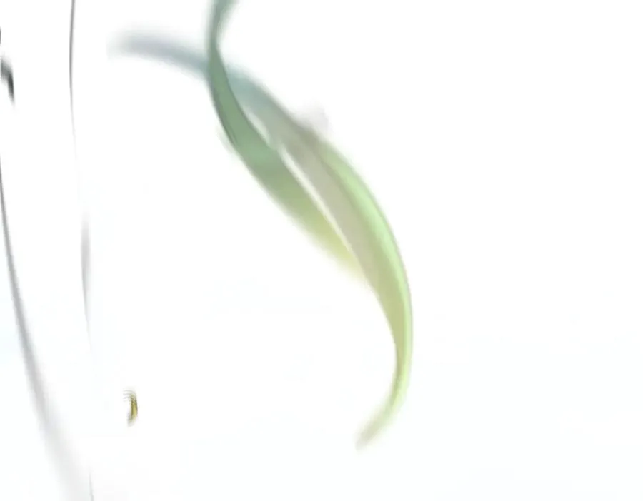 第37话 不愿重蹈覆辙 第194页