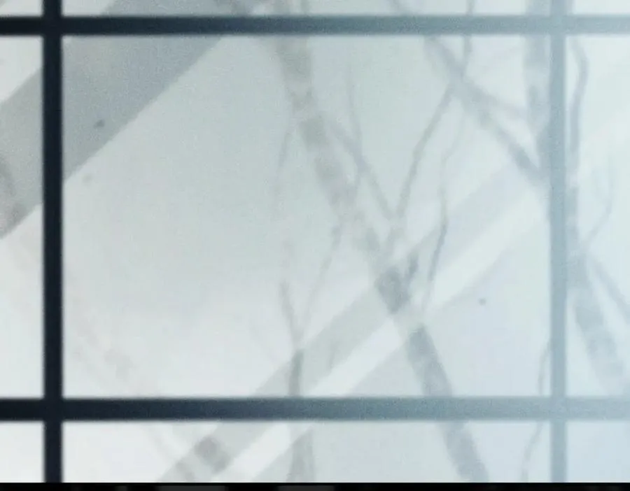 第39话 想快点见到她 第240页