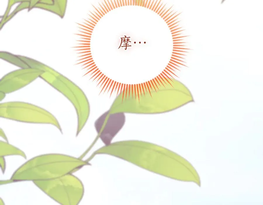 第41话 公爵吃醋 第255页
