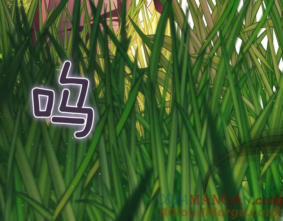 第47话 一点点骄傲 第285页