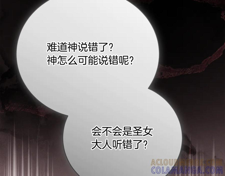 第二季 完结话 圣女掉马甲 第205页