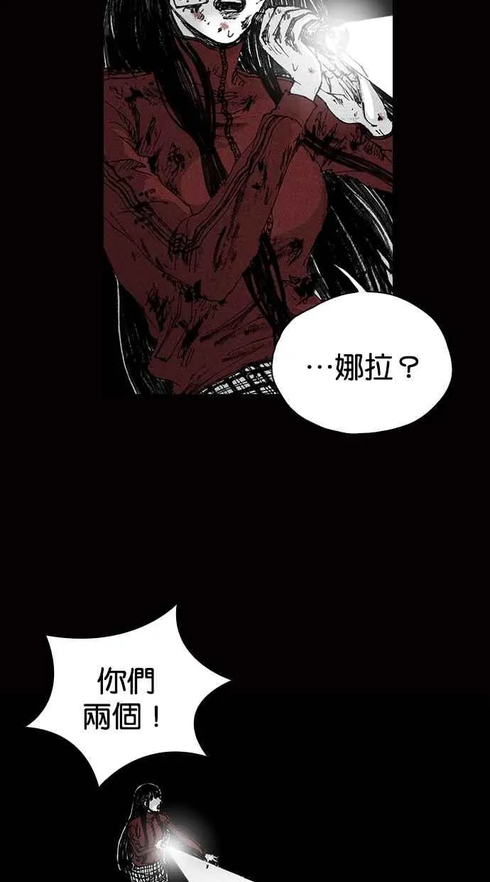 [第5季] 预告 第234页