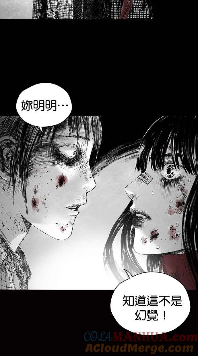 [第5季] 预告 第241页