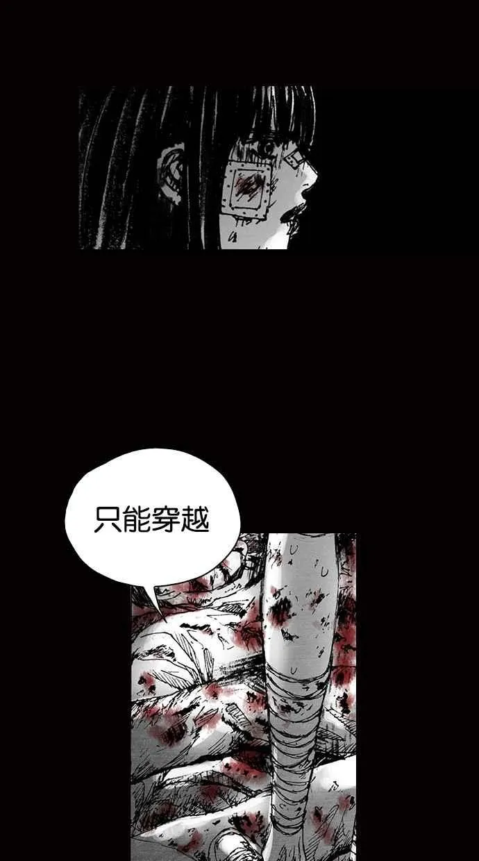 [第5季] 预告 第251页