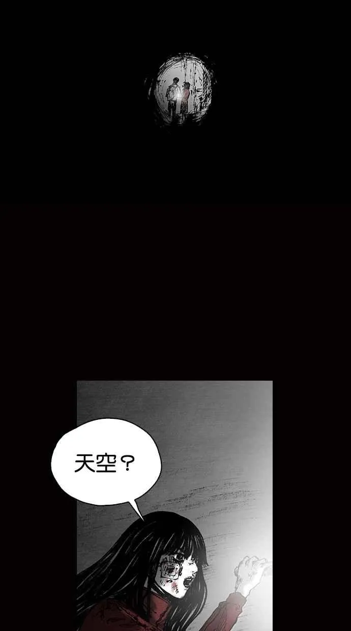 [第5季] 预告 第275页