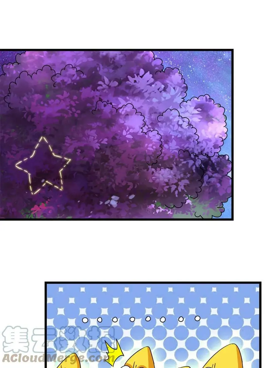 304 星耀果 第33页
