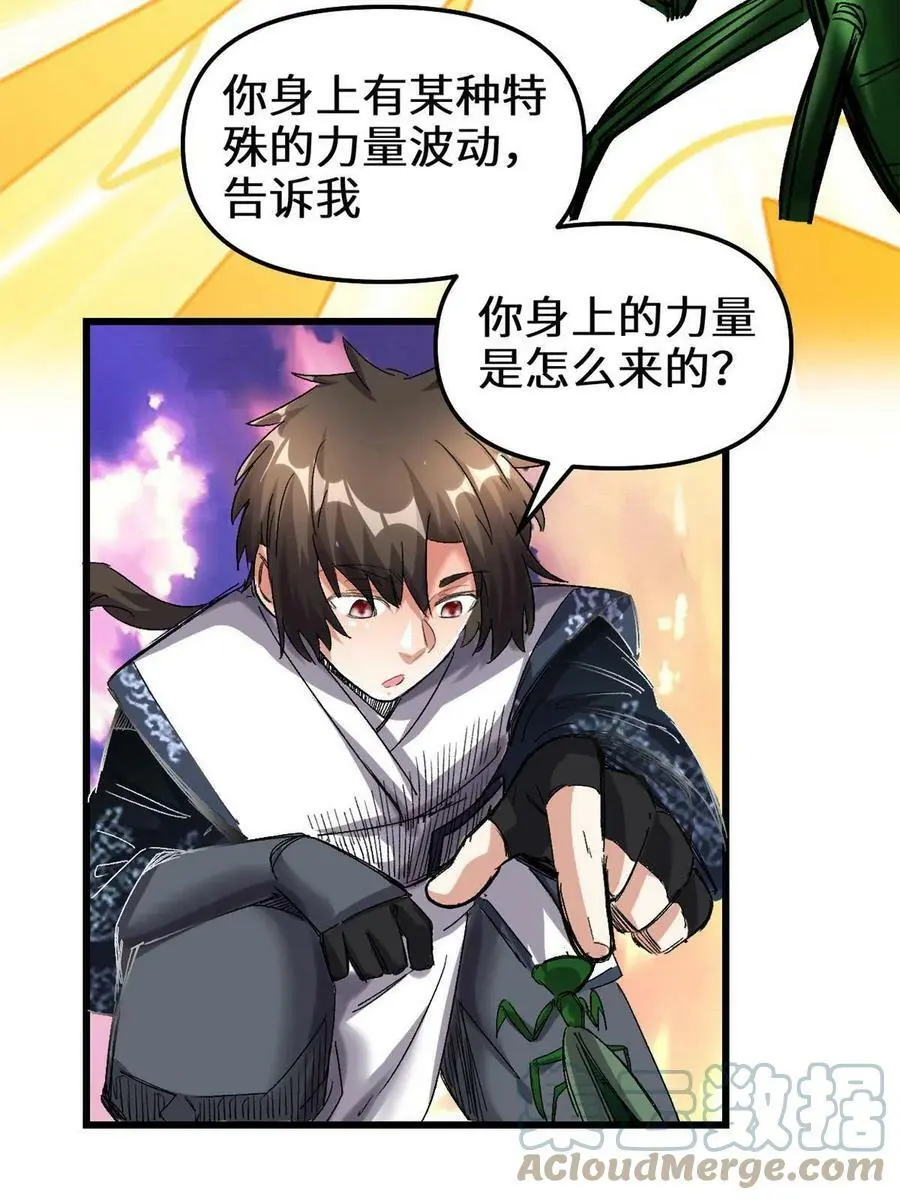285 谁叮我？！ 第35页