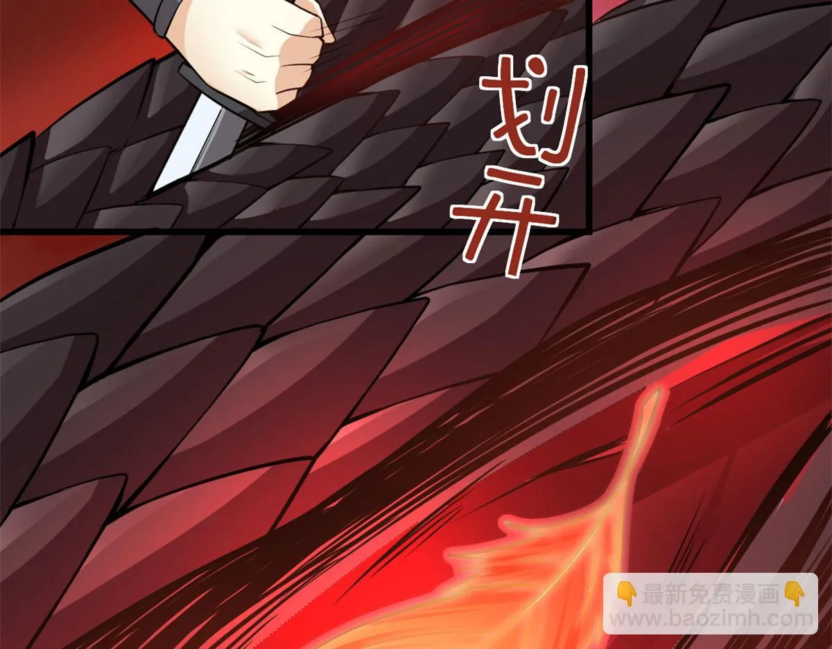 248 让我炒个肉！ 第29页