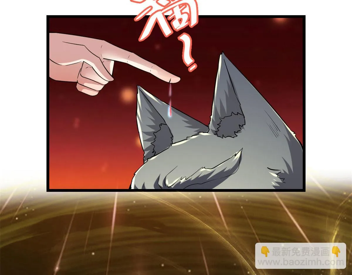 252 投不投降 第55页
