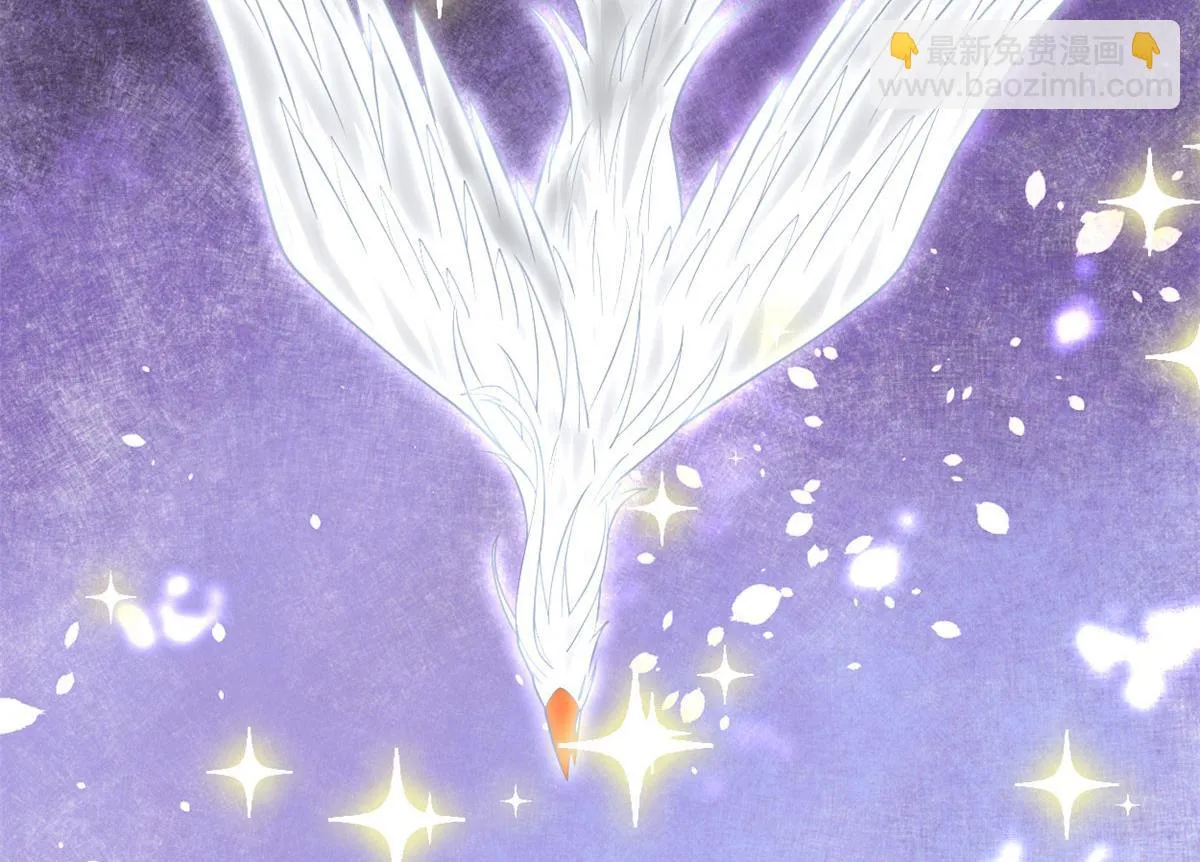 254 神主爱装逼 第13页