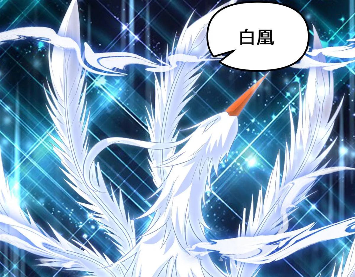 256 跟我装逼？！ 第32页