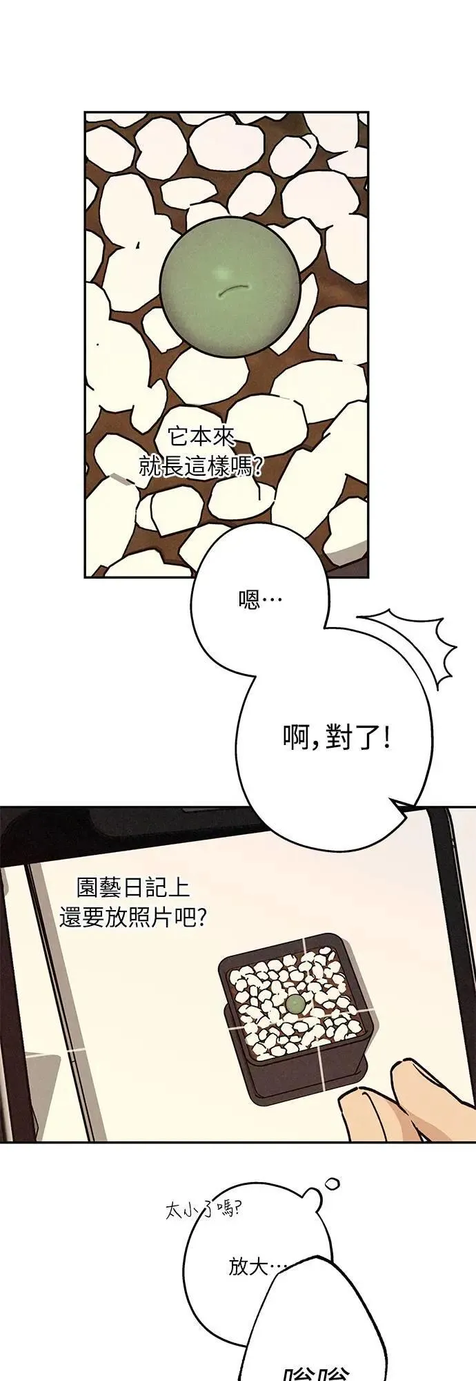 16话 别再想了！ 第5页