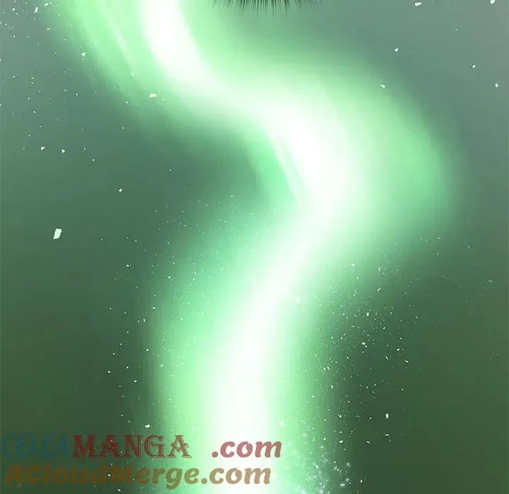 11 第41页