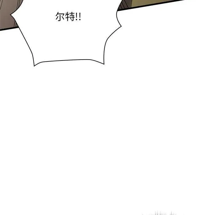 12 第66页