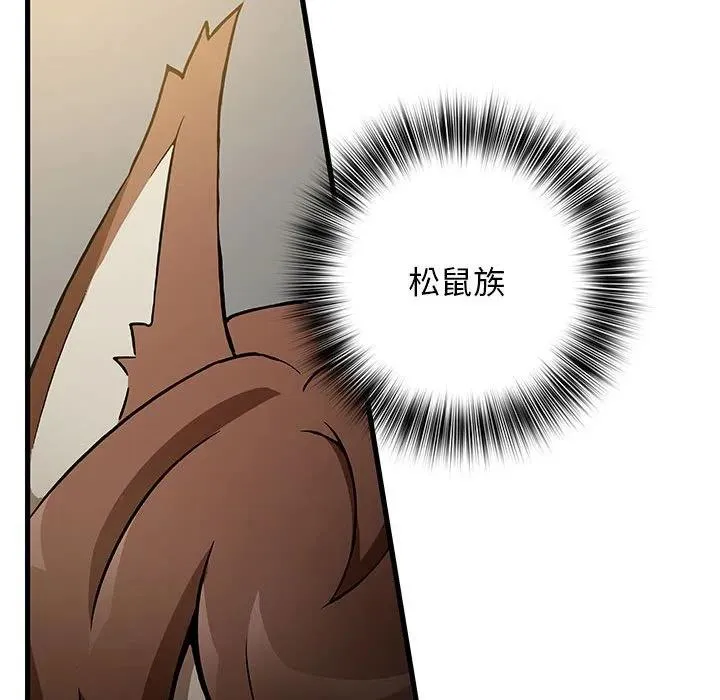 13 第11页