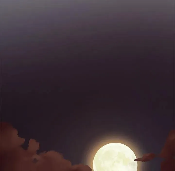 13 第102页