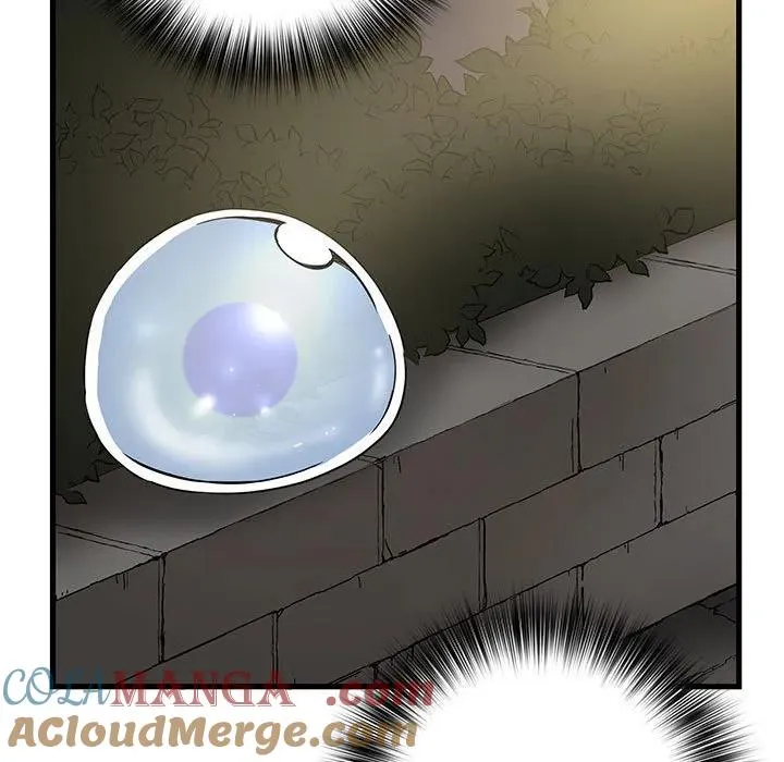 13 第117页