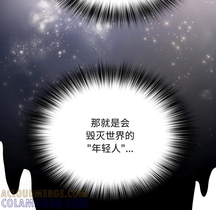 28 第113页