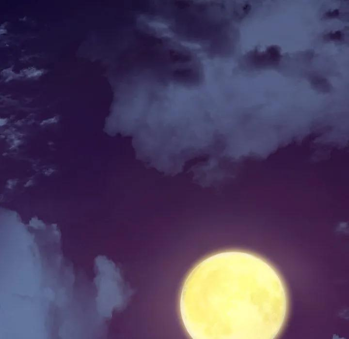 38 第95页