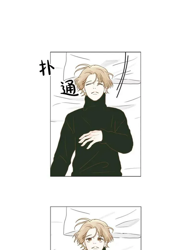 74.小信号 第41页