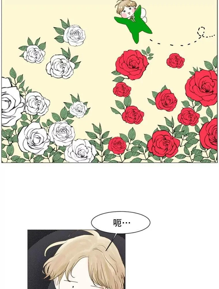80.红玫瑰白玫瑰 第12页