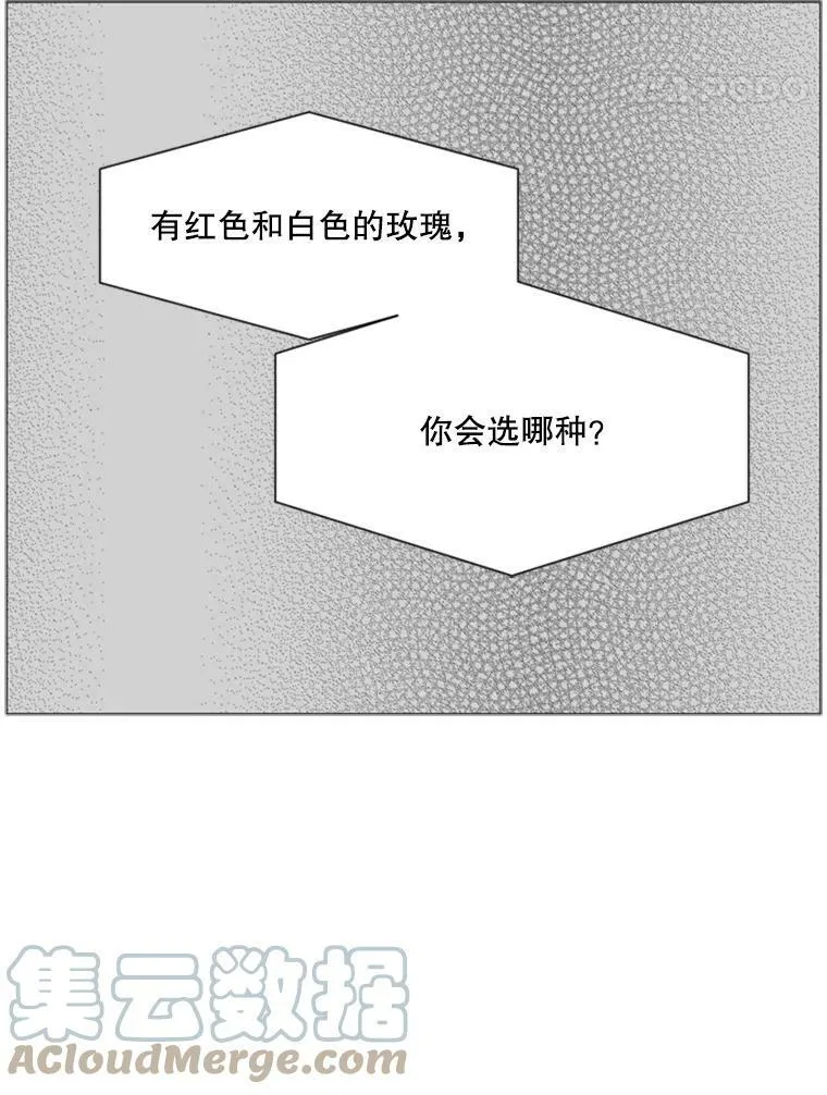 80.红玫瑰白玫瑰 第58页