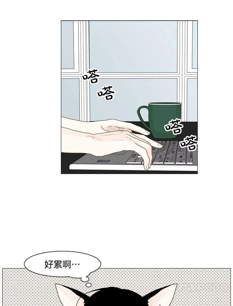 117.未知 第51页