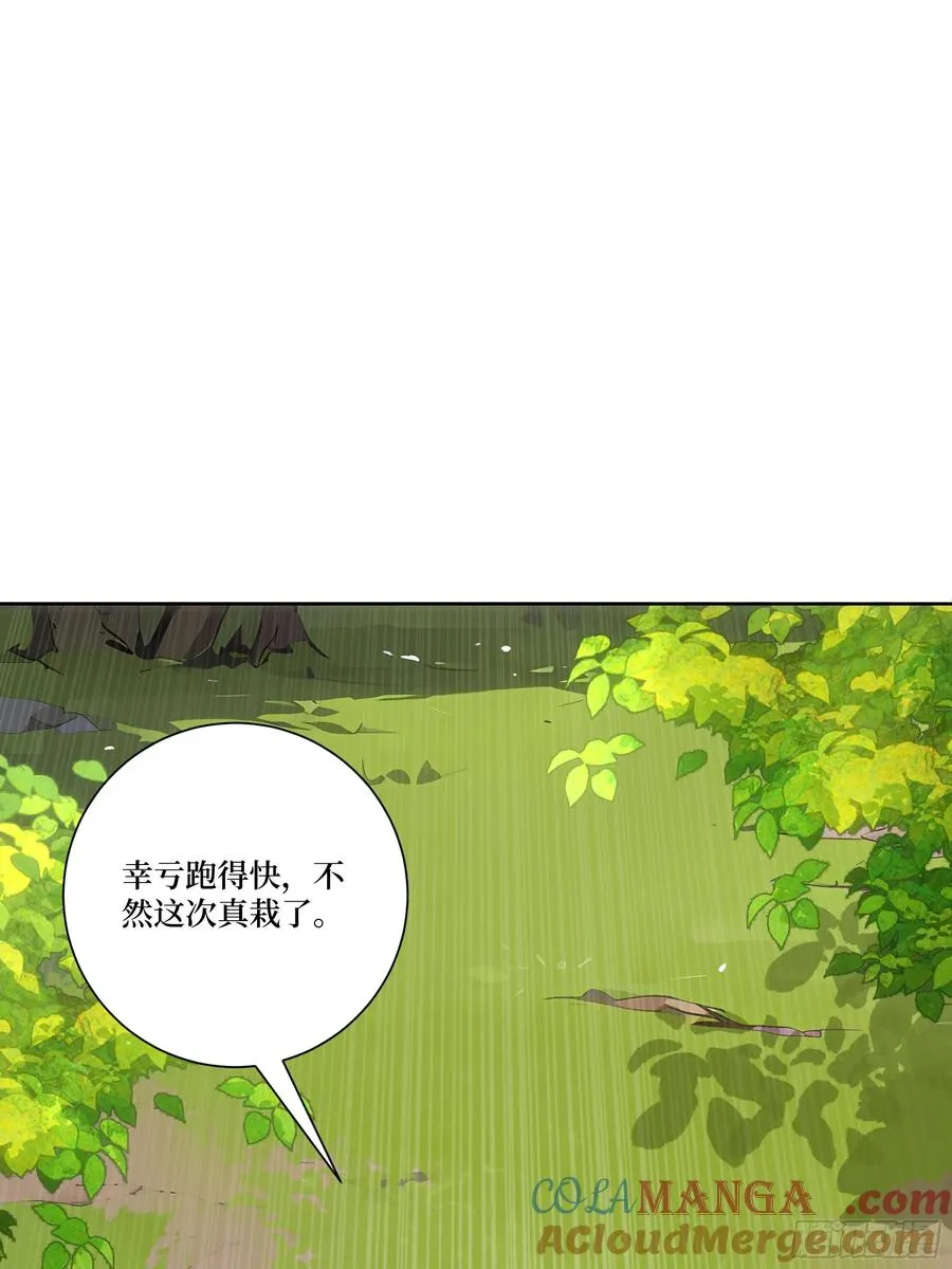 15 收服狮王！ 第31页