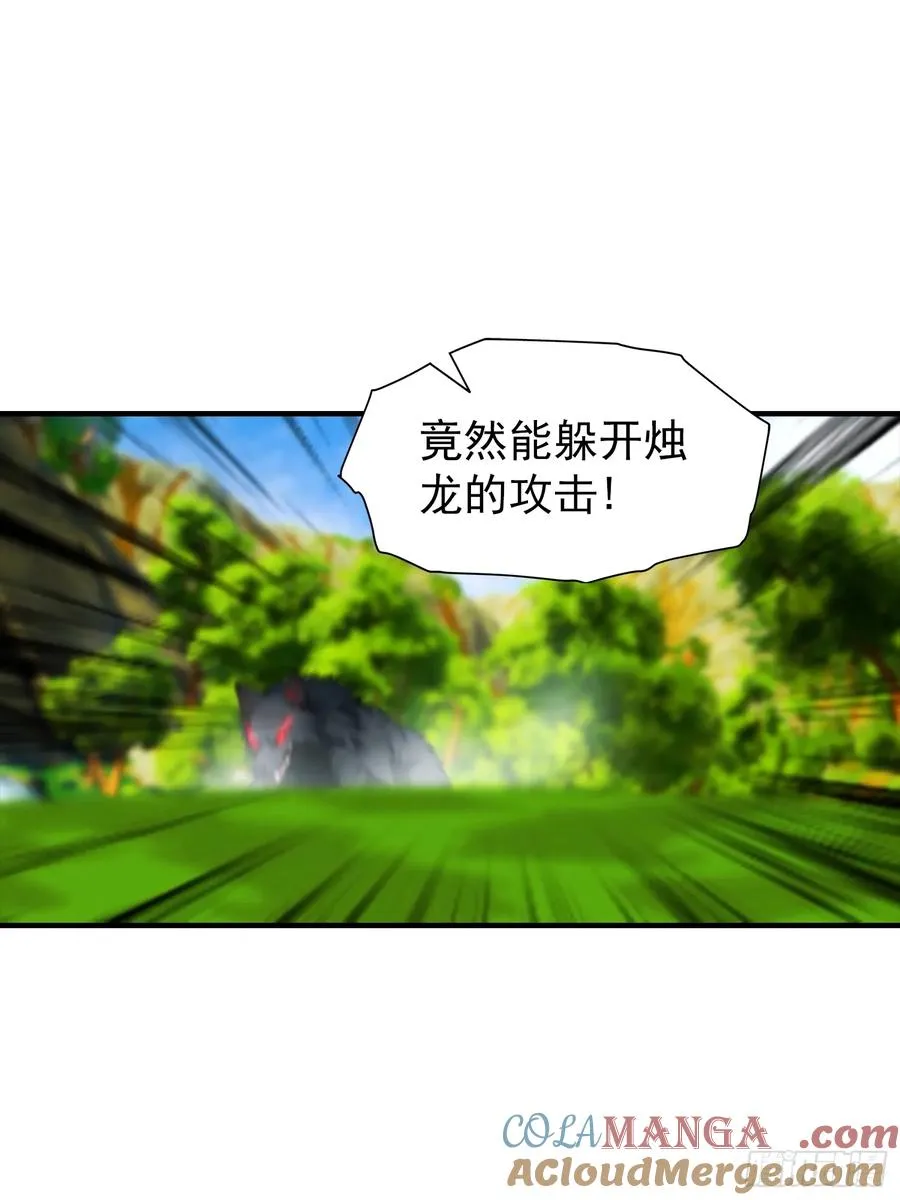 第4话 召唤新异兽——龙龟 第10页