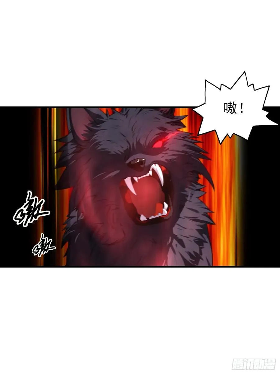 第4话 召唤新异兽——龙龟 第11页