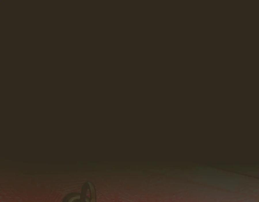 第35话 面纱之下 第62页