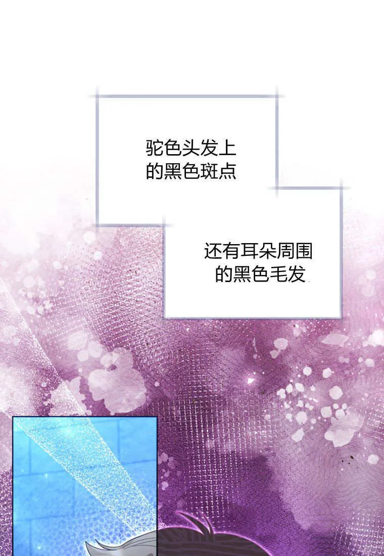 第42话 第1页
