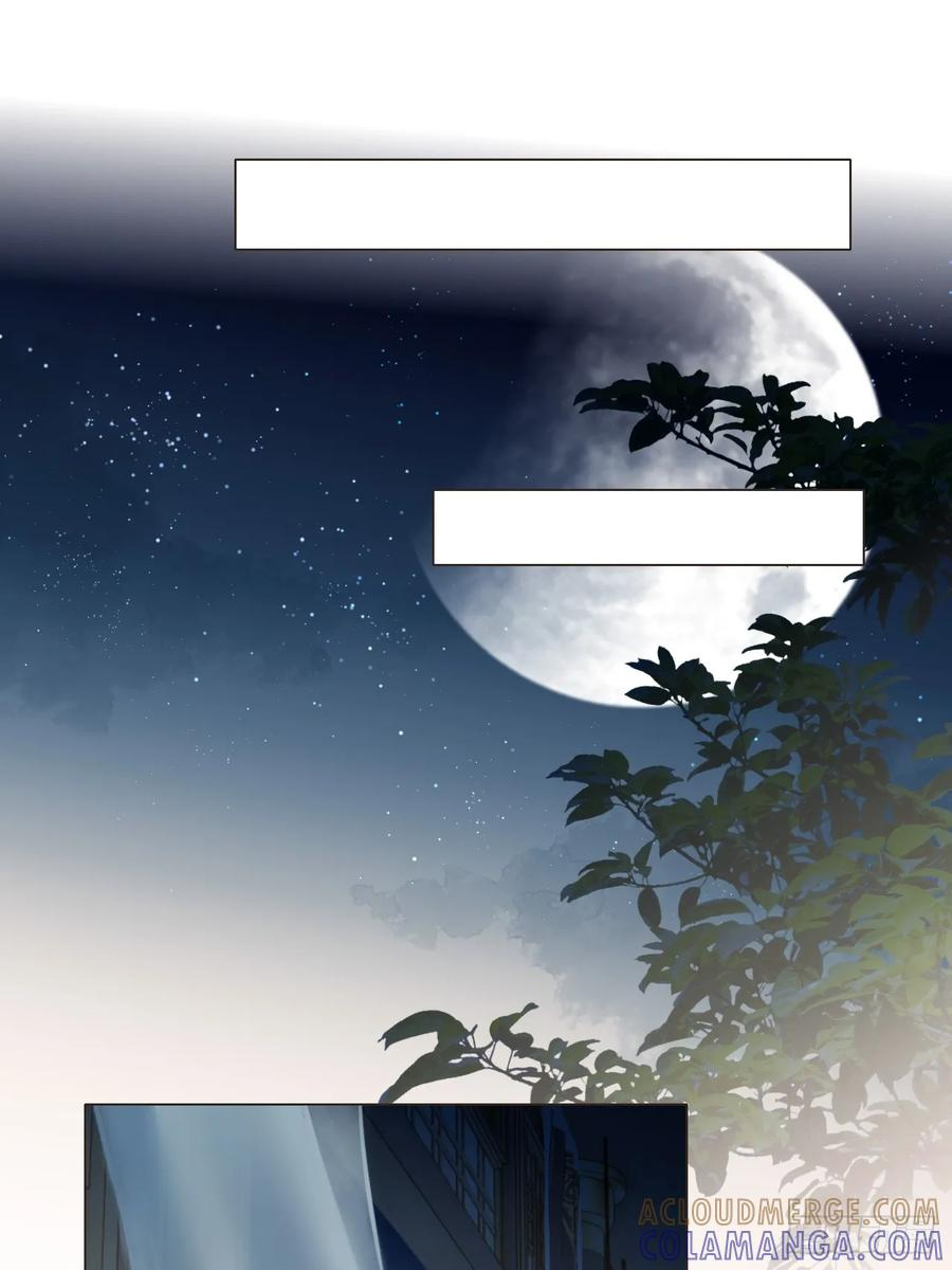38 请陛下疼爱 第19页