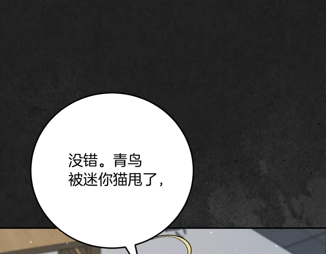 第6话 我需要一个靠山 第12页