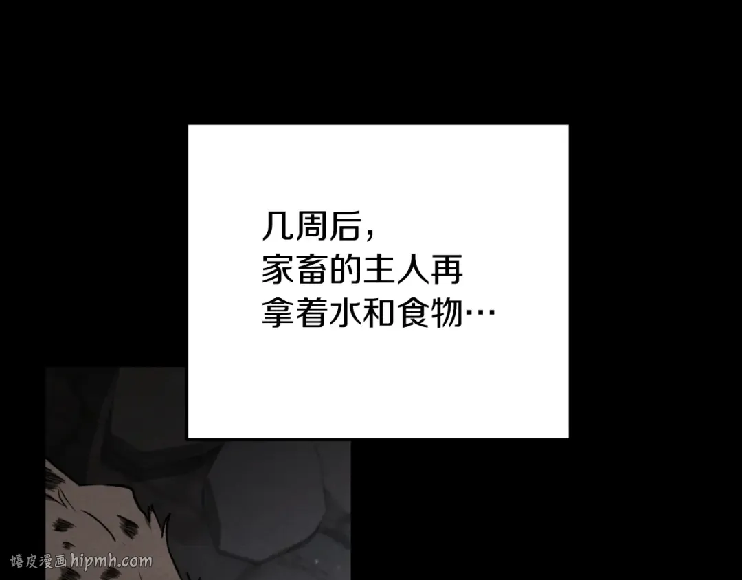 第10话 驯服 第16页