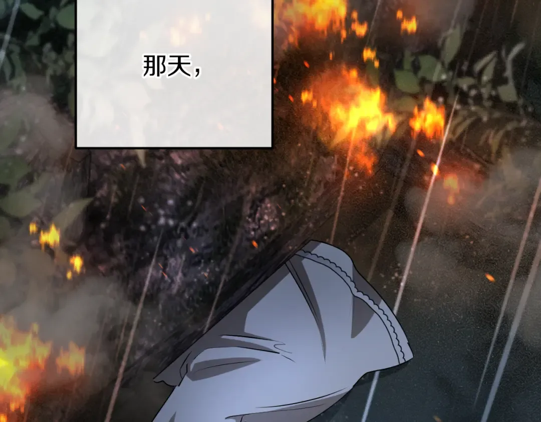 第12话 森林里的布谷鸟 第173页