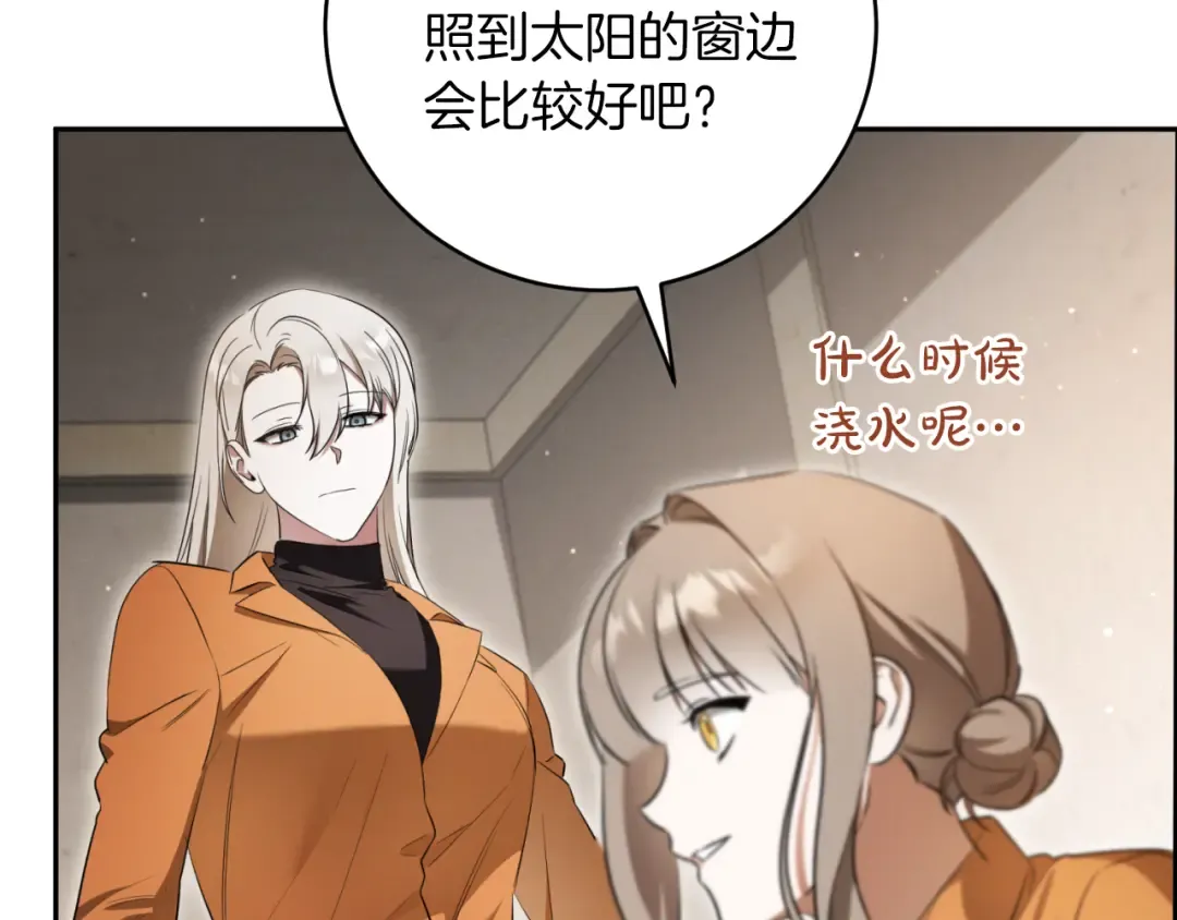 第14话 天才的堕落 第246页