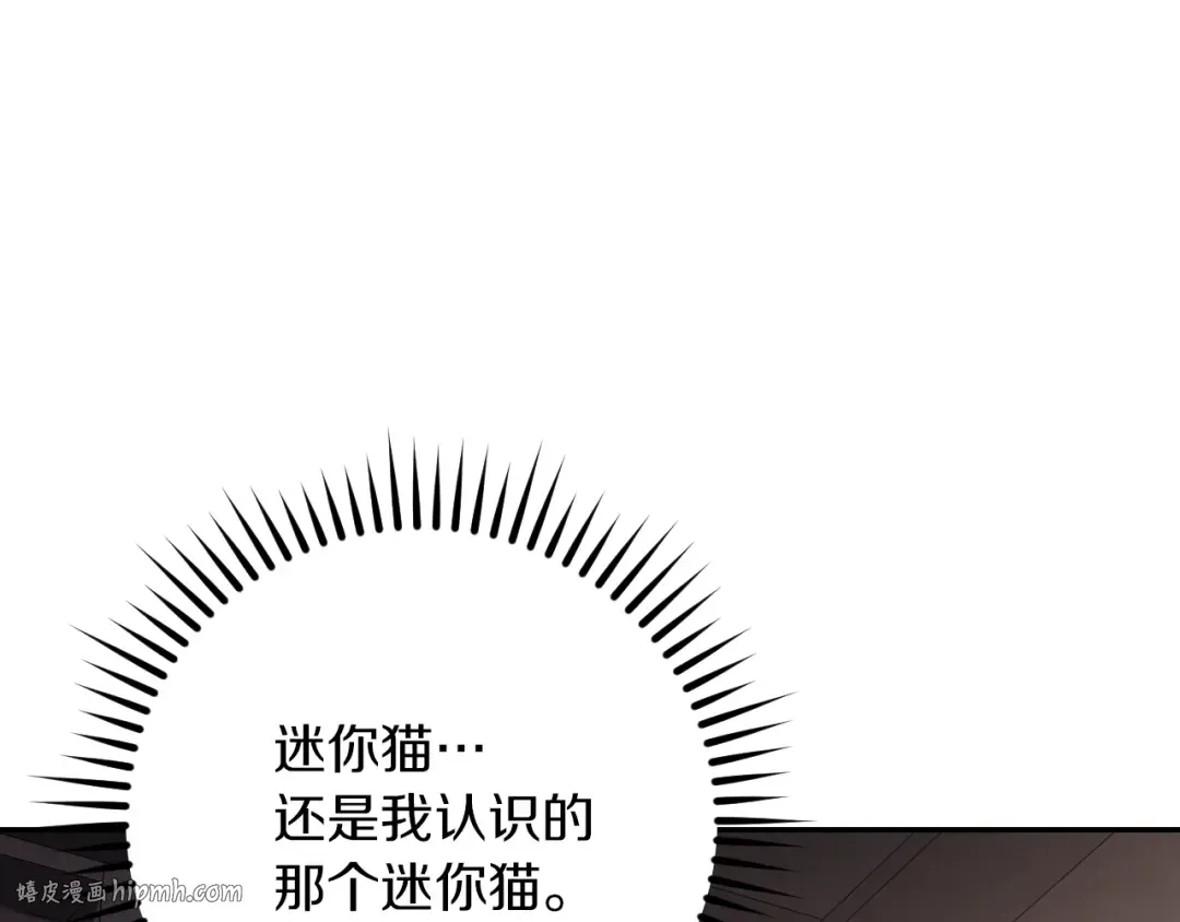 第20话 晚安，卷心菜 第56页