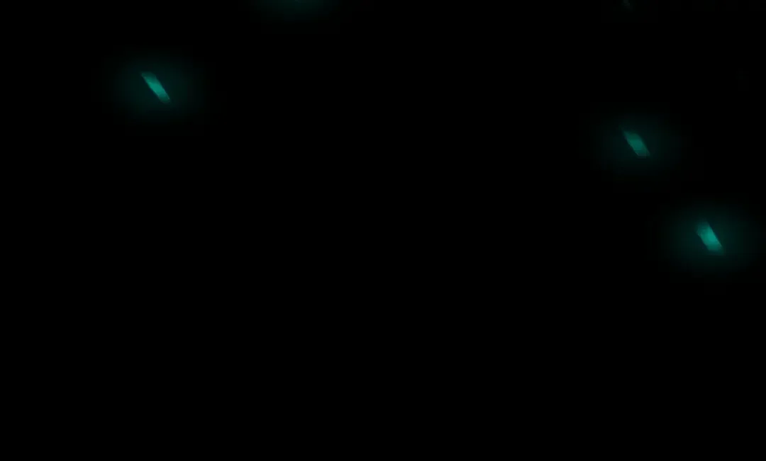 第20话 晚安，卷心菜 第166页