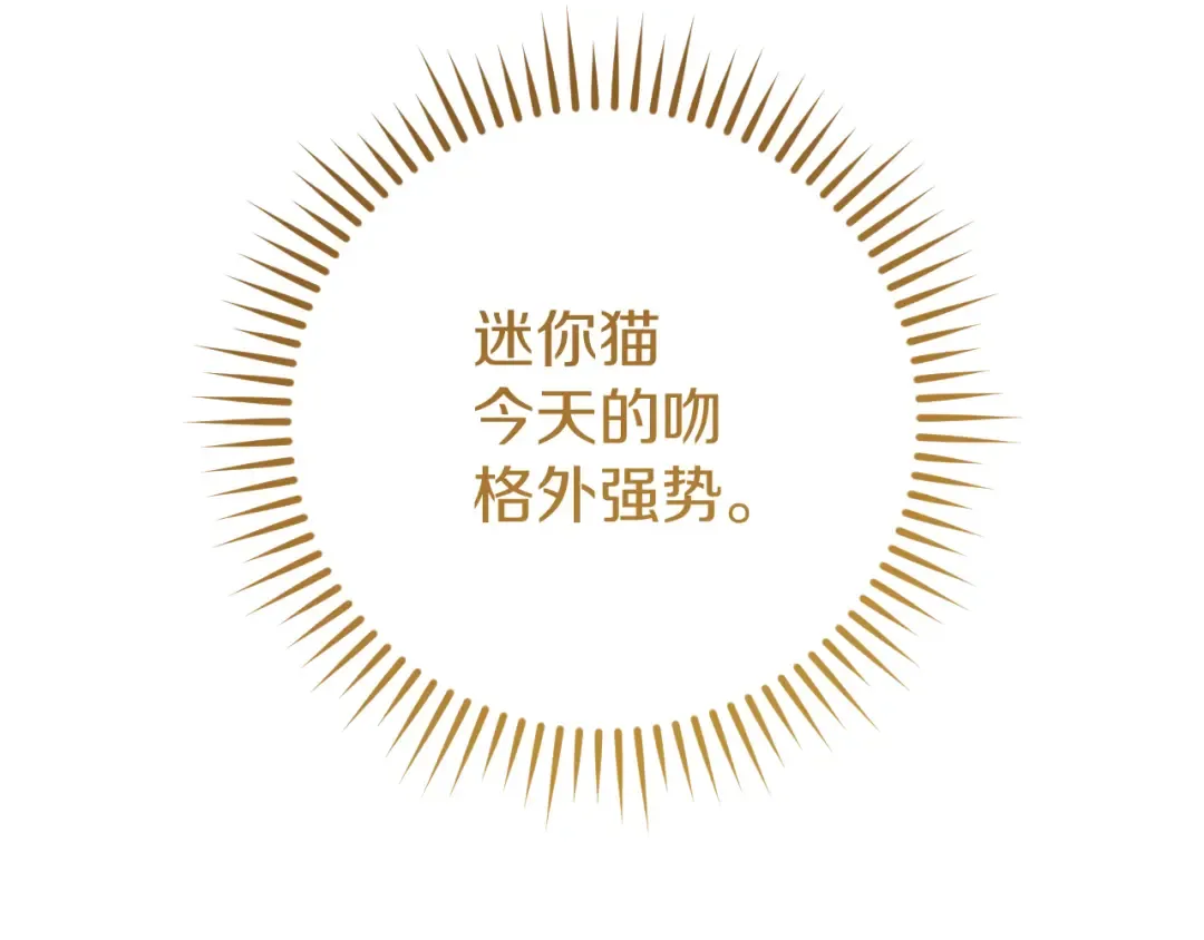 第22话 暗语 第166页