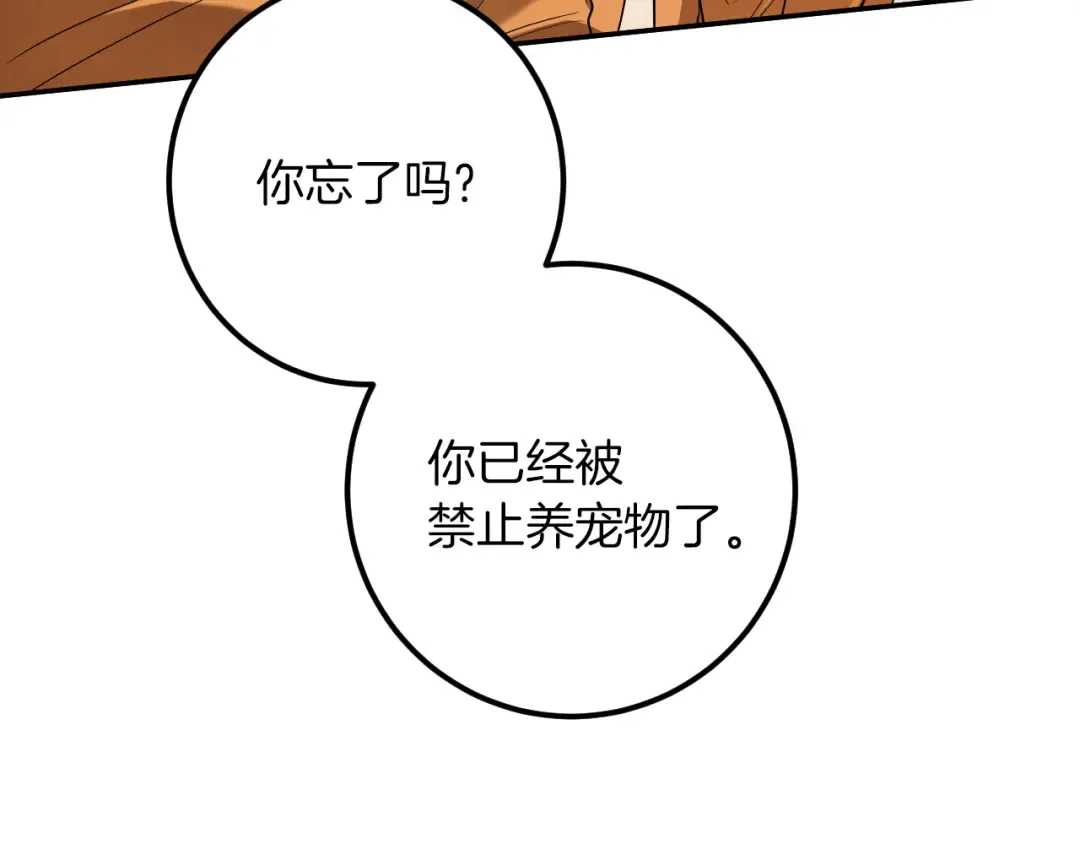 第26话 养宠物 第66页